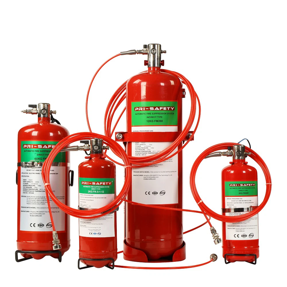 FM200 Fire System-05